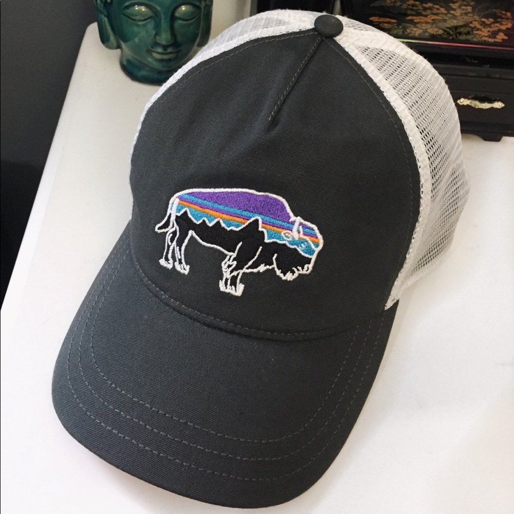 Patagonia Women’s FitzRoy Bison Layback TruckerHat